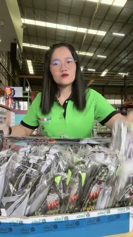 ว่าวนกอินทรีย์  ไร่นก  ตัวช่วยไล่นกในสวนและไร่นา